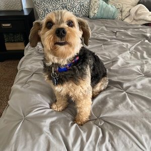 Meet your Posher, Veronica